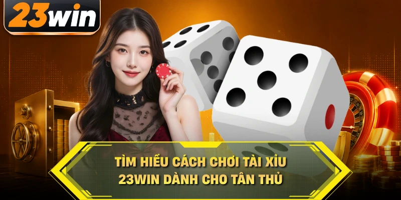 Tìm hiểu cách chơi tài xỉu 23WIN dành cho tân thủ